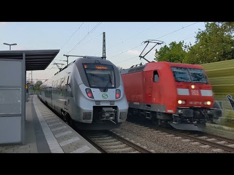 S-Bahn Mitteldeutschland: Haltepunkt Markkleeberg Nord und Bahnverkehr auf der Pleißebrücke