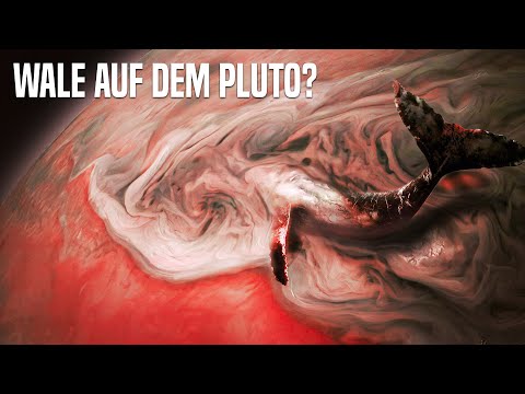 Erste Bilder von Plutos Oberfläche - Was Haben Wir Entdeckt?