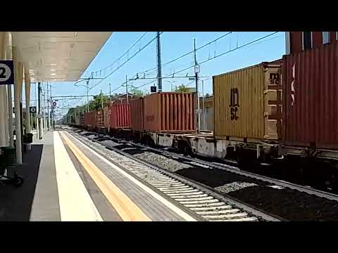 Medway logistica gruppo MSC 494 236 Emma da Marzaglia a La Spezia Migliarina