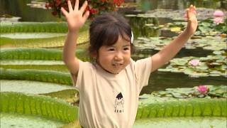 8月16日【びわ湖放送ニュース】巨大な葉っぱに乗って決めポーズ！