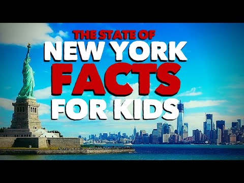 New York City Fun Facts - Find The Business Information Quickly