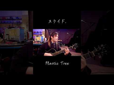 #280 スライド./Plastic Tree #shorts #弾き語り #歌ってみた