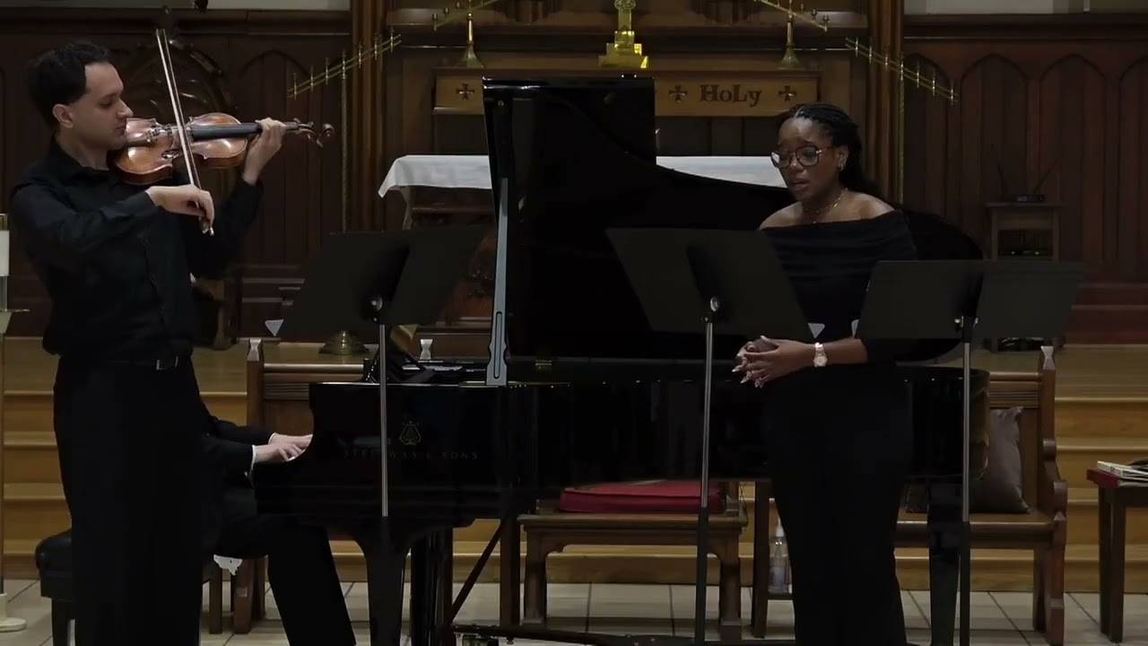 Promotional video thumbnail 1 for Violinist