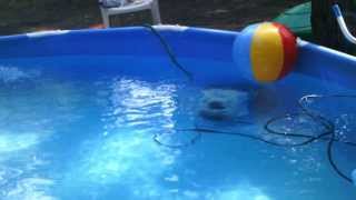 preview picture of video 'Watching the Robot Clean the Pool at Willow Creek Ranch, Mountain Ranch, CA'