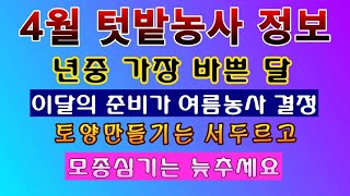 [텃밭농부. 1,392]  가장 바쁜 달. 4월의 텃밭농사 정보. #월간정보