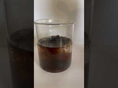 Seaweed extract powder, for agriculture, pack size: 25 kg