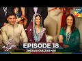 Zindagi Gulzar Hai Episode 18