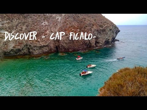 Vlog Cap Figalo - Algeria - قضينا يوم في أجمل شاطئ في عين تموشنت - كاپ فيڨالو