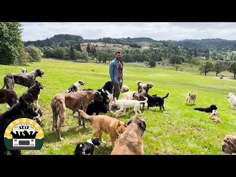 Scenes from around the sanctuary this spring! | The Asher House