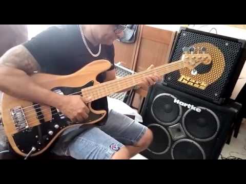 Markbass 151P  com cx hartke