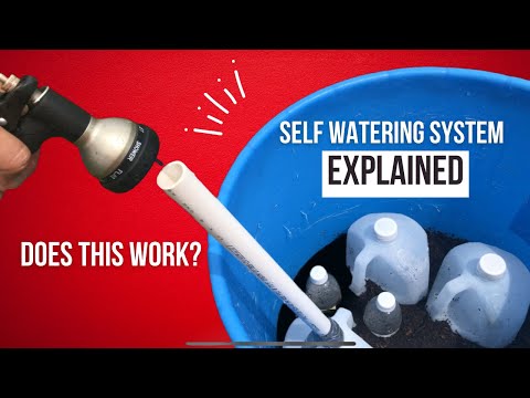 How a SELF WICKING container works! Use this Self Watering System Now!