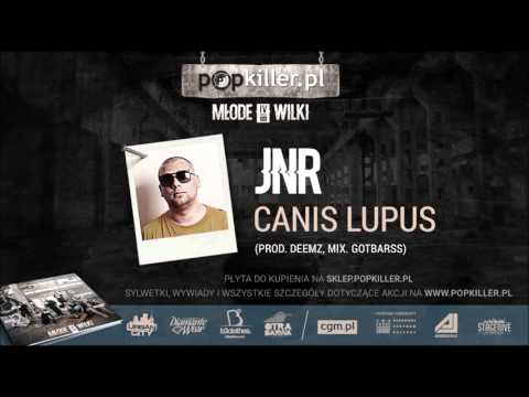 02. JNR - Canis Lupus [Popkiller Młode Wilki 4 (2015)]