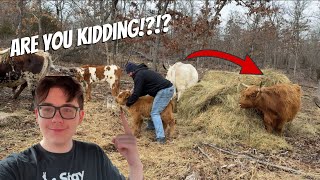 What was Dad Thinking?! @DossFarm