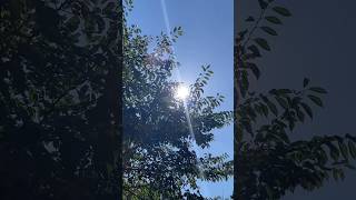 今年もこの季節がやってきた！ #推しは推せる時に推せ #推し推せ #コンカフェ #ミナミコンカフェ #アイドル #メイド #shorts #夏 #少女 #ワンピース #麦わら帽子