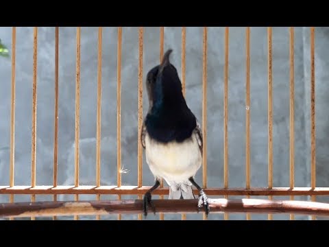 Ontong Novyj Trend Smotret Onlajn Na Sajte Trendovi Ru