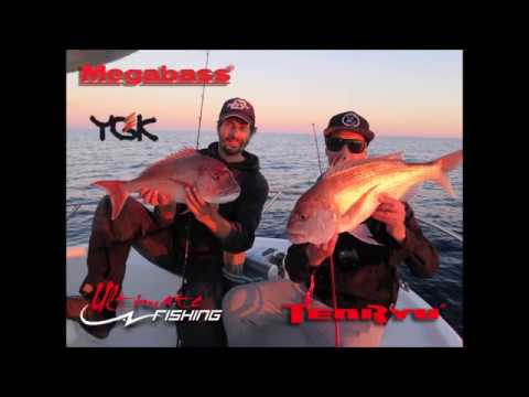 TEASER PARGOS Ultimate fishing