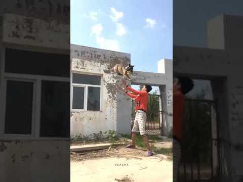 MC Teteu MC Pelourinho menor revoltado Status