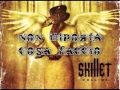 『Skillet』Open Wounds [Traduzione] 