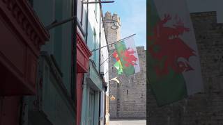 ウェールズ🏴ラピュタのモデルになったお城🏰イギリスだけど雰囲気全然違うし、表記もウェールズ語、みんなウェールズ語しゃべってる不思議な感じ