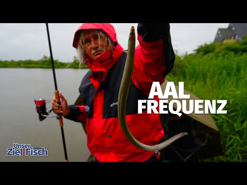 EEL: One hit after another throughout the day with JÖRG OVENS - Our goal is fish - Fishing School