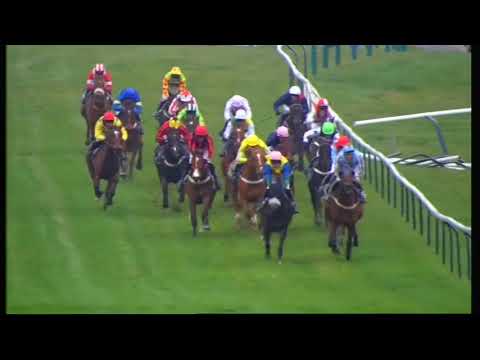 2012 Pulteney Land Investments Novices' Chase - Cheltenham Festival