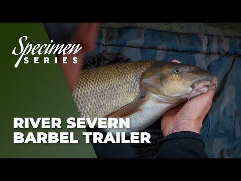 Phil Spinks Specimen Series - River Severn Barbel Trailer