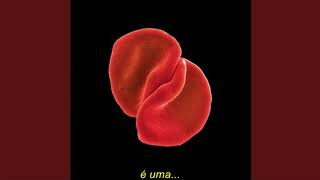 Peter Gabriel - My Body is a Cage - Legendado Português BR