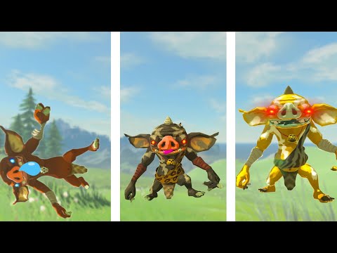 A day in the life of a Bokoblin | Zelda BotW