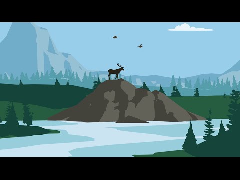 Mountain Wildlife 3D Video