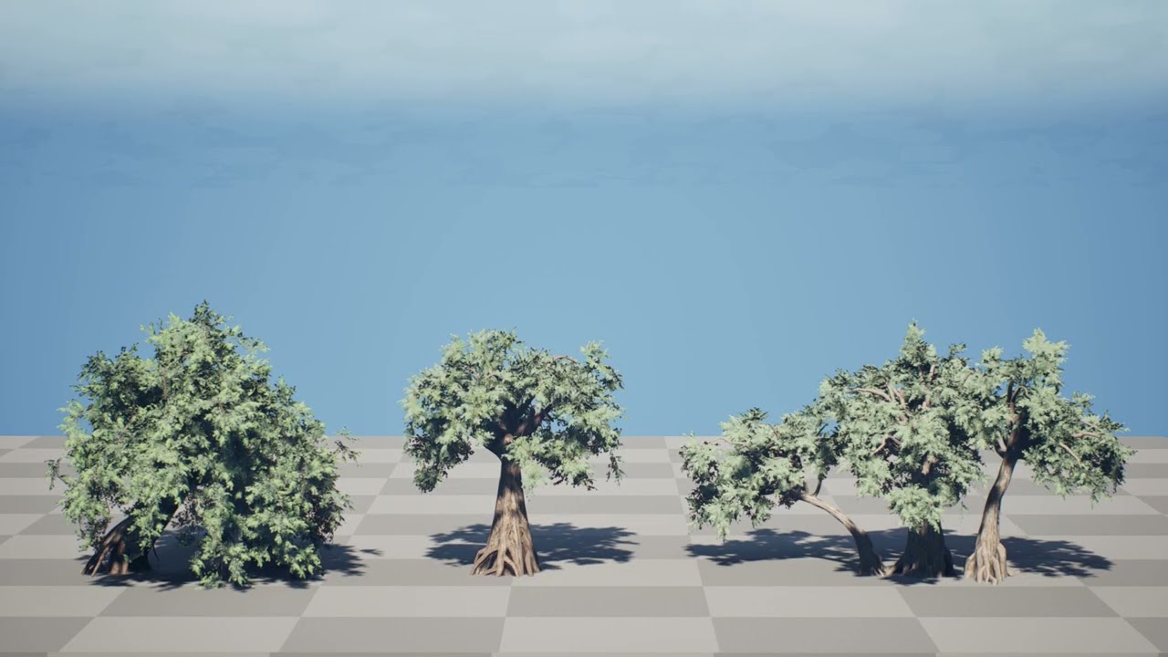 Ancient Arabian Olive Tree Collection 3D Model