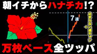 【ハナハナ】これぞ最高のプレミアム演出!!朝から爆連万枚ペースの閃光を全ツッパした結果...【パチンカス養分ユウきのガチ実践#458 】