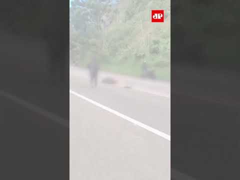 SP: Motociclista perde o controle e se envolve em acidente fatal #shorts