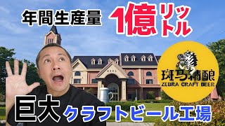2026年5月8日