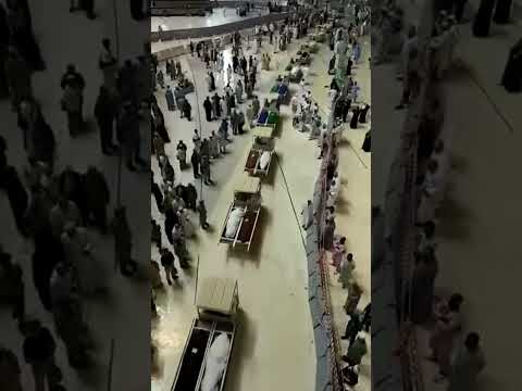 Pamjet nga haxhi pas vdekjes se me shume se 900 haxhinjeve nga nxehti