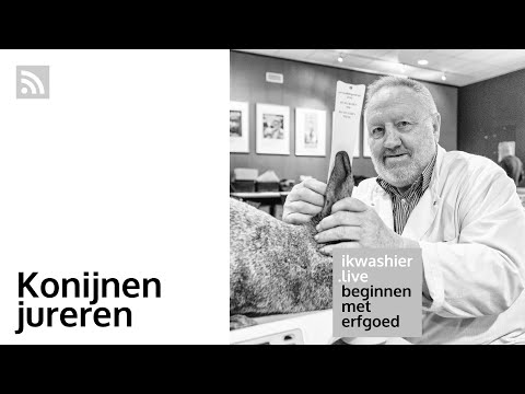 , title : 'Konijnen jureren met keurmeester Eddy De Permentier - Beginnen met erfgoed 125 – ikwashier.live'