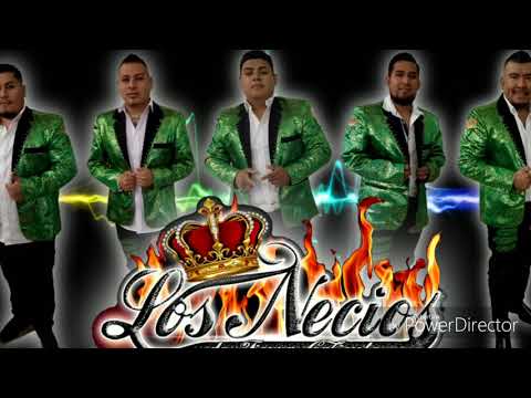 Cusinela, La Matraca - Los Necios De Tierra Caliente (2019)