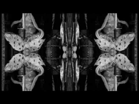 Paul Birken - Farceur Courtier (Edit)