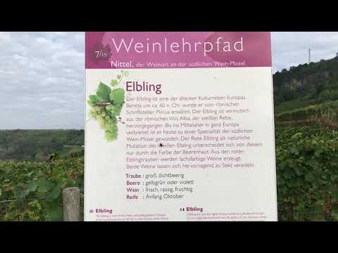 2021_09(E) „Wanderweg Moselsteig" Nittel - Wasserliesch (Etappe 4/27)