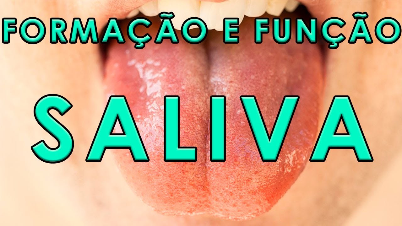 Glândulas Salivares - Anatomia e funções da saliva