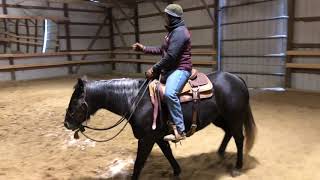 Habits of a Horseman- Teach your horse to have power steering!!