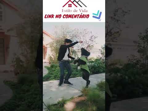 https://img.youtube.com/vi/hUhW9KDhw4s/0.jpg