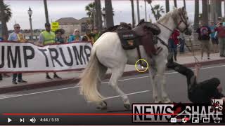 Horse Gets Spooked or Something &amp; Bucks Into Car &amp; Police Rider Falls Off