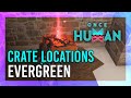 Evergreen | Mystical Crate + Weapon & Armor Crate Location | Once Human