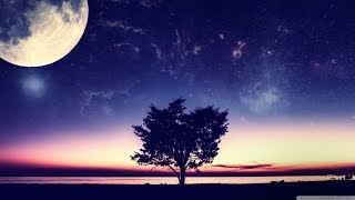 4 Hour Deep Meditation: Spa Music, Relaxing Music , Sleep Music, Background Instrumentals