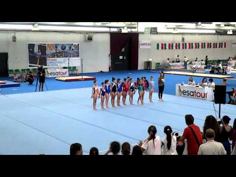 Ginnastica in festa pesaro 2015 finale assoluta