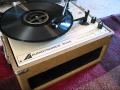 Blind Lemon Jefferson - Chinch Bug Blues - Paramount record