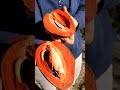 Sapote Mamey video
