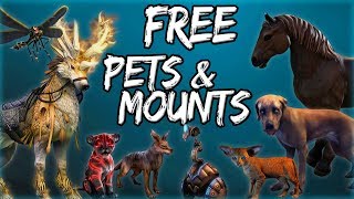 FREE PETS & MOUNTS in Elder Scrolls Online (ESO Guide)