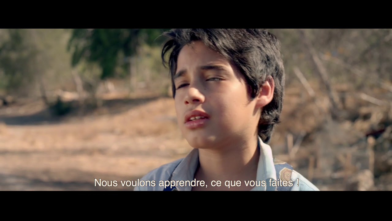 Miniature de la vidéo Un cheval nommé Éléphant VOSTF du film Un cheval nommé éléphant