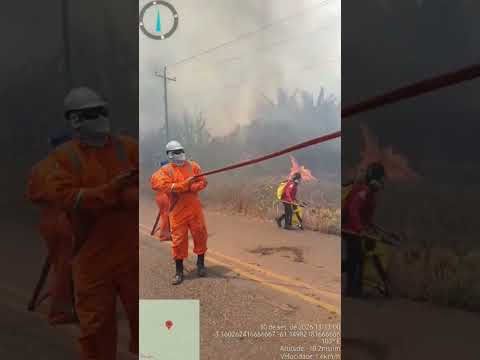 Queimadas em Caapiranga, AM